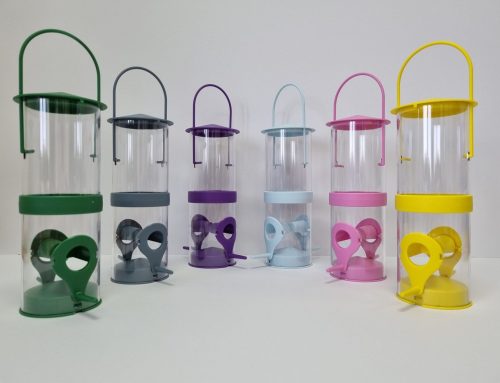 Birds get an extra colourful tweet